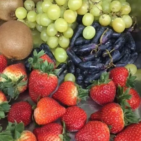 Wellness Astra מלון Špindlerŭv Mlýn