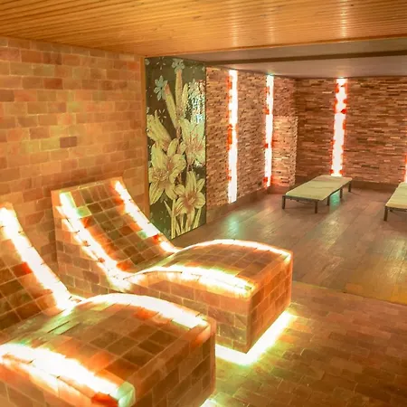 Wellness Astra 4* スピンドレルフ・ムリン