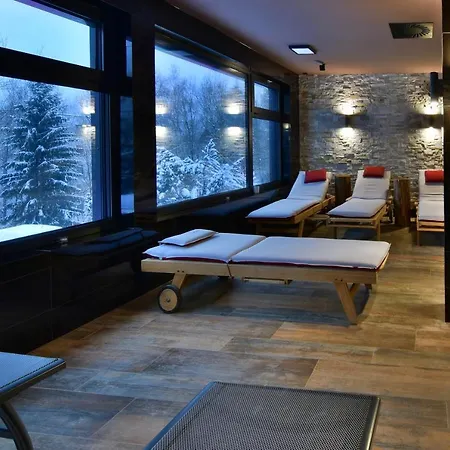 Hotel Wellness Astra Szpindlerowy Młyn