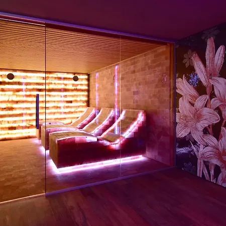 ホテル Wellness Astra スピンドレルフ・ムリン