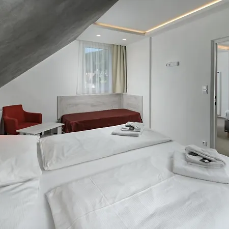 ホテル Wellness Astra スピンドレルフ・ムリン