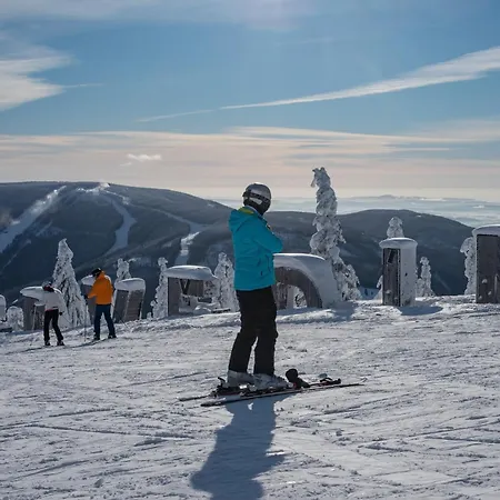 ホテル Wellness Astra 4*