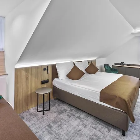 Wellness Astra 호텔 4*