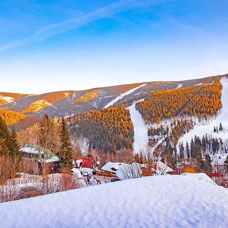 ホテル Wellness Astra 4*