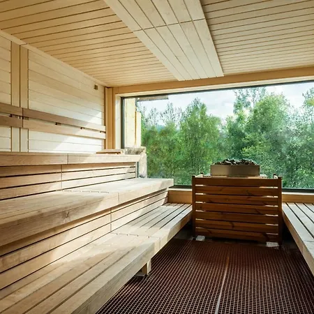 ホテル Wellness Astra 4*